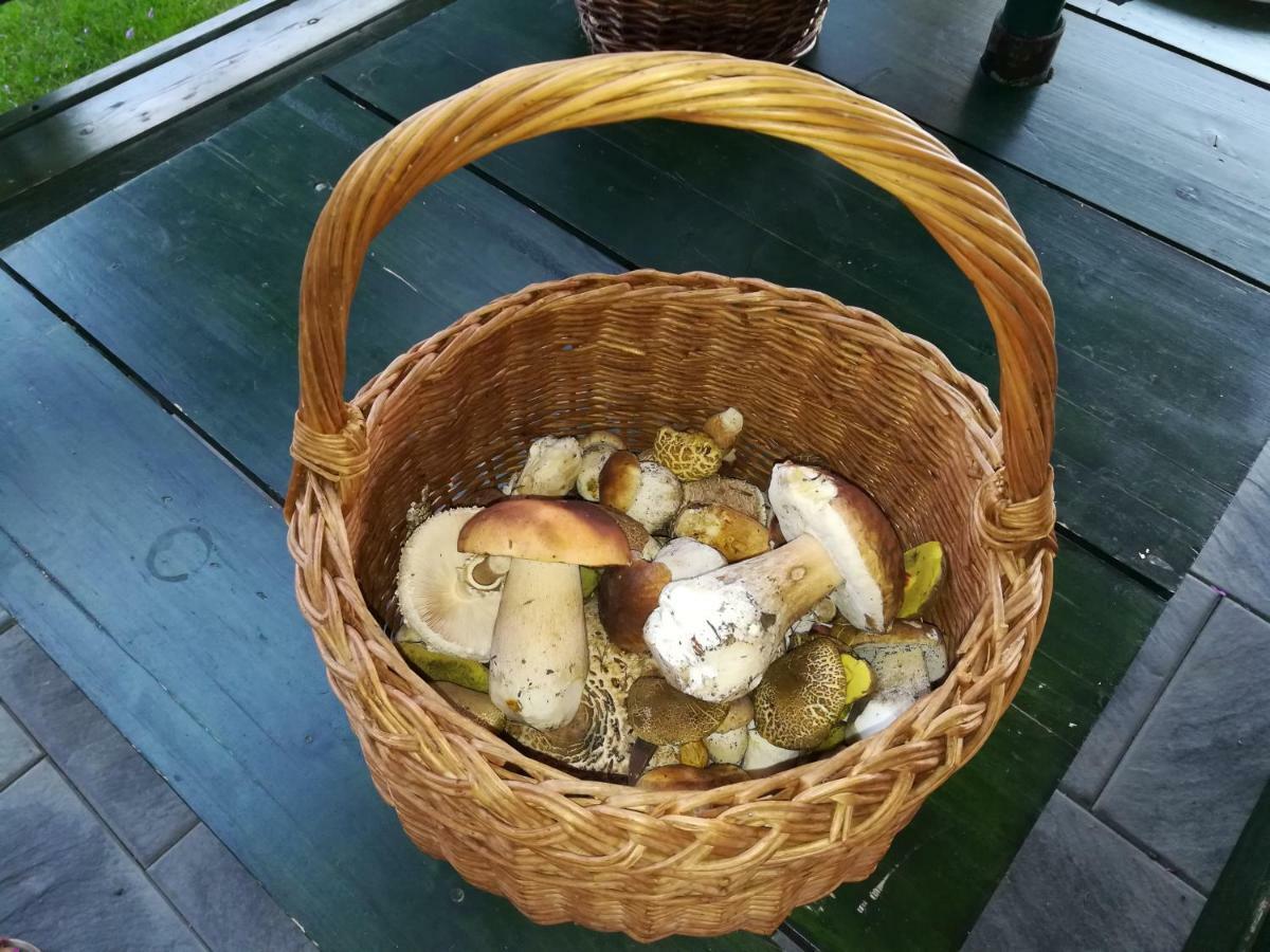 Chata Pod Lesem Rymarov Luaran gambar